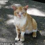 Nasir Bruen Profile Picture