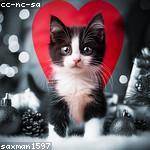 Elyssa Windler Profile Picture